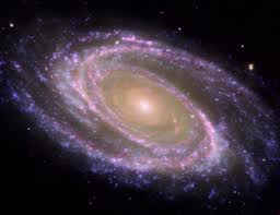 Descripción: http://t0.gstatic.com/images?q=tbn:ANd9GcR83IAQ1PKkcjkpnICzPBphybK4kMFi_GYNC7gykGhHYU8EjhrI4g